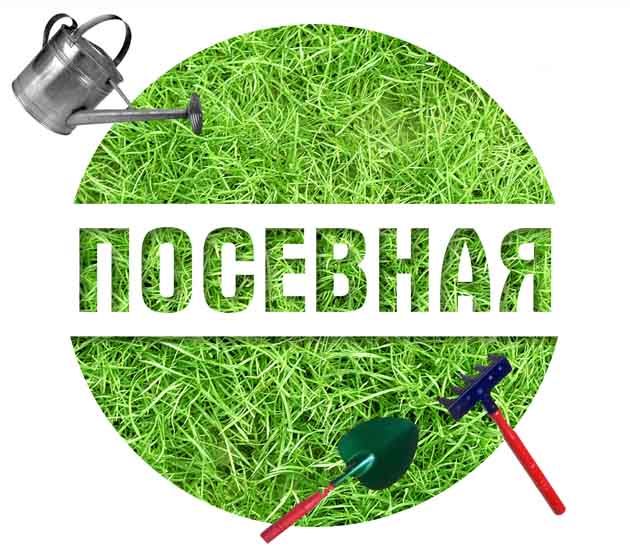 В Норильске пройдет экологическая акция «Посевная»